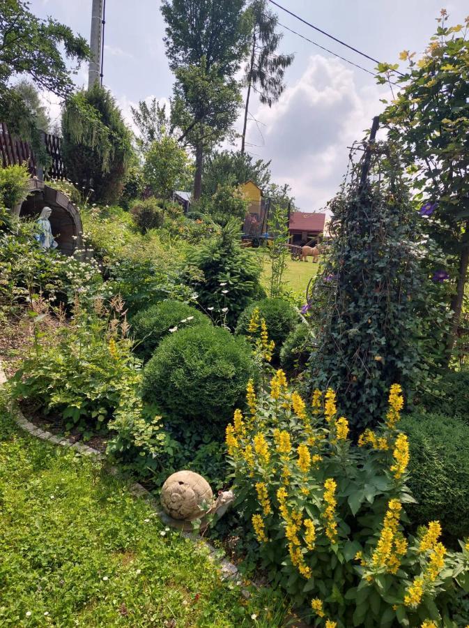 Noclegi U Ilony Czarna Gora Bagian luar foto